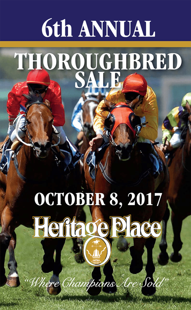 2017 Thoroughbred Sale Heritage Place