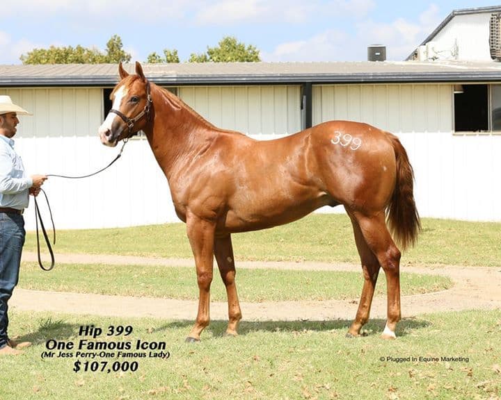 Strong Numbers Continue Through Heritage Place Yearling Second Session