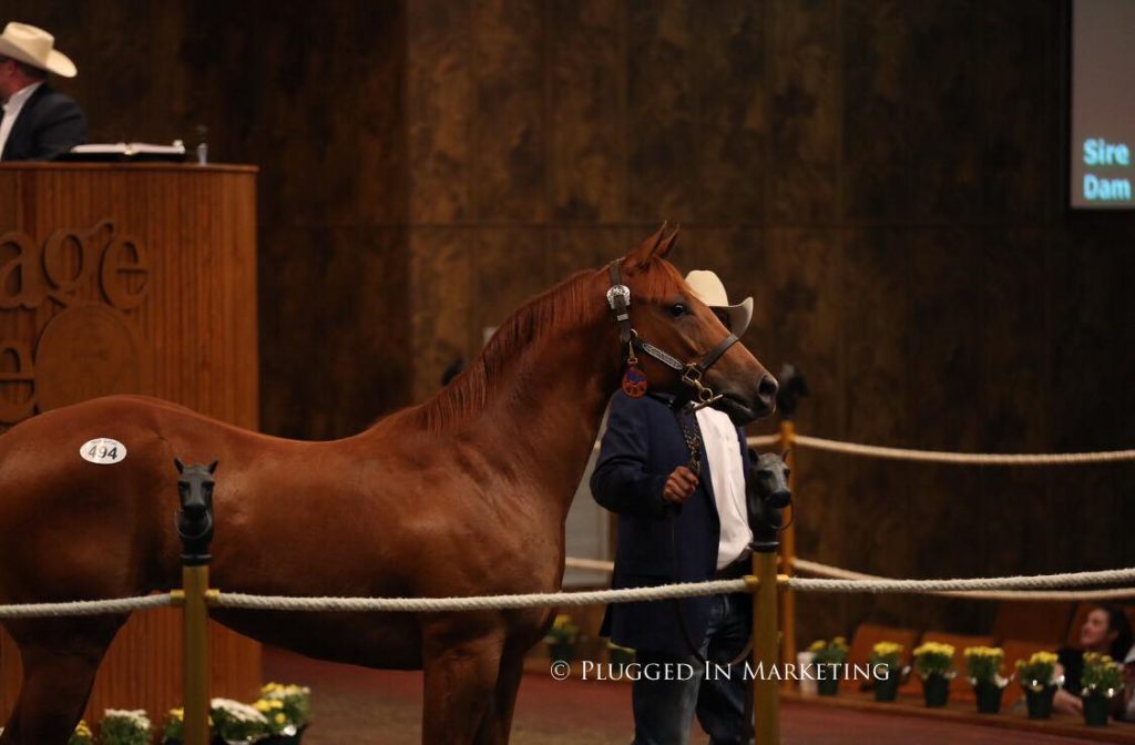 HERITAGE SALE SETS RECORDS Heritage Place
