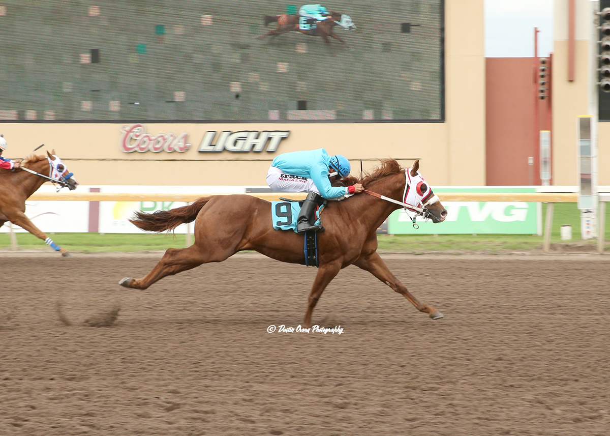 TRAINER WAYLAN MELTON GOES 3-FOR-3 IN TRIALS, QUALIFYING FIRST, SECOND ...